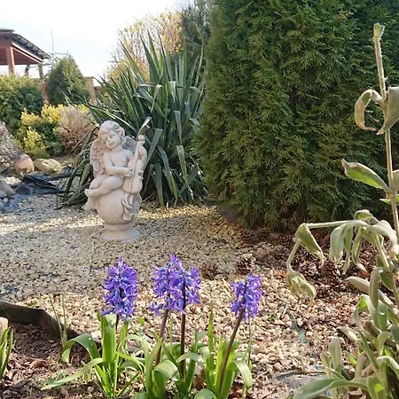 Bed & Breakfast Letnia Jacuzzi & Sauna Darłowo