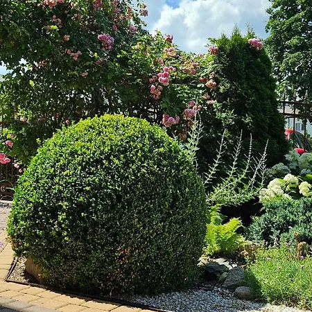 Letnia Jacuzzi & Sauna 3*