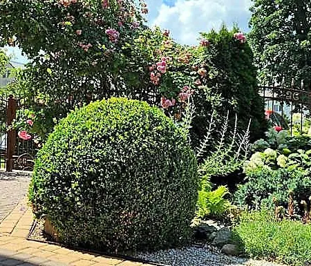 Bed & Breakfast Letnia Jacuzzi & Sauna
