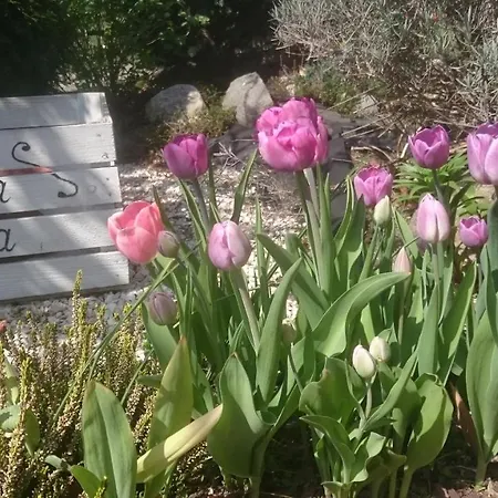 Letnia Jacuzzi & Sauna Bed & Breakfast Darłowo