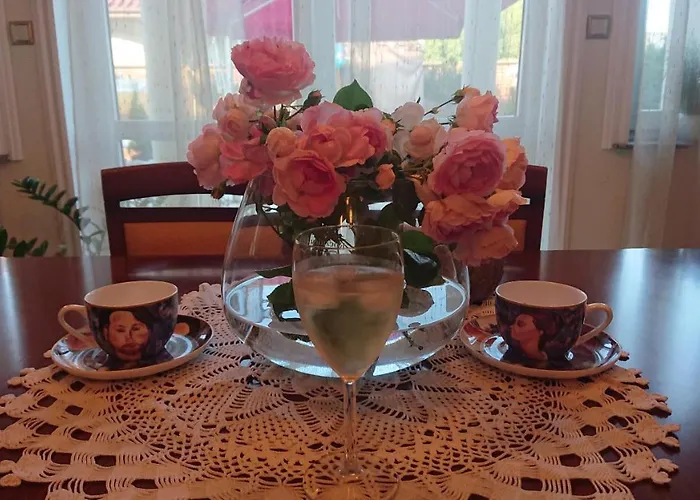 Letnia Jacuzzi & Sauna 3* דארלובו