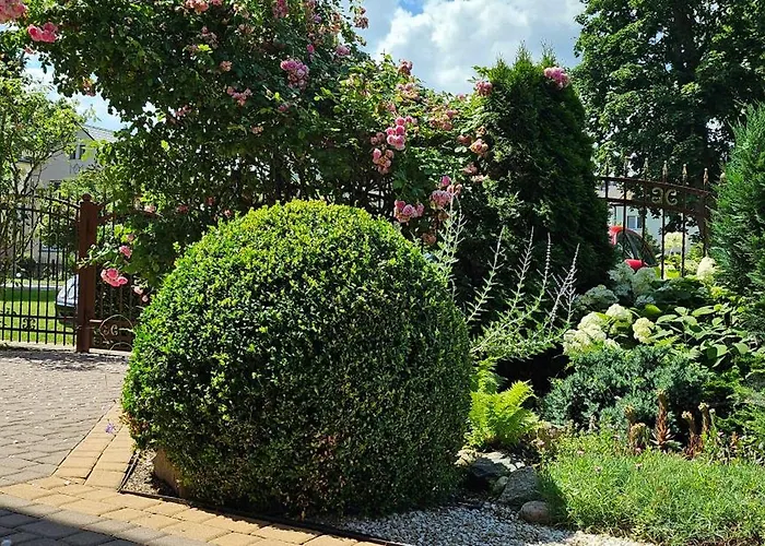 Letnia Jacuzzi & Sauna 3*