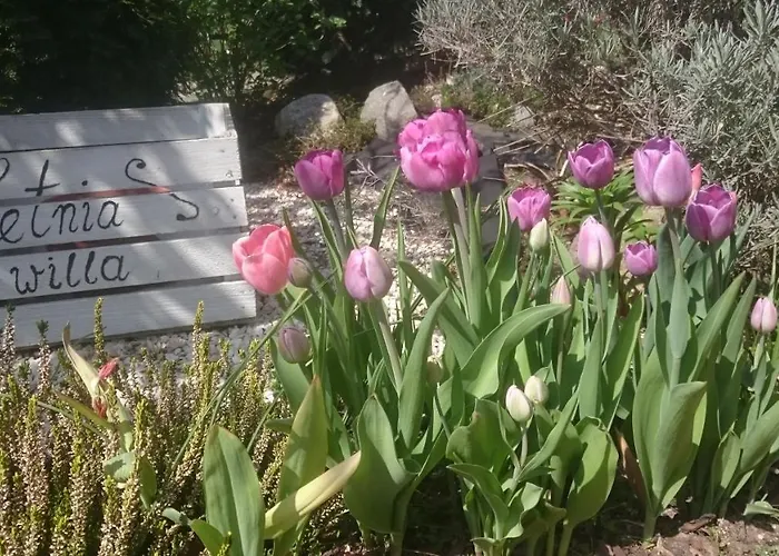 Letnia Jacuzzi & Sauna ベッド・アンド・ブレックファスト ダルウォボ